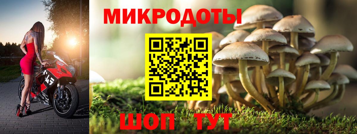 Галлюциногенные грибы ЛСД  Галлюциногенные грибы Cubensis  Вход с VPN  Тельмана 